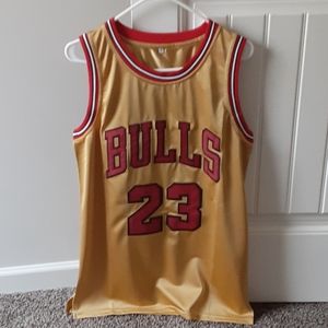 Jordan Bulls #23 Jersey